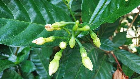 人气乙女游戏《JACKJEANNE》6月30日正式发售！