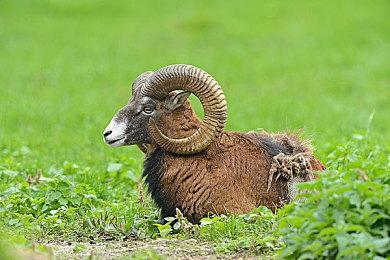 B站UP主发起停更潮登热搜第一：平台收益减少获吐槽